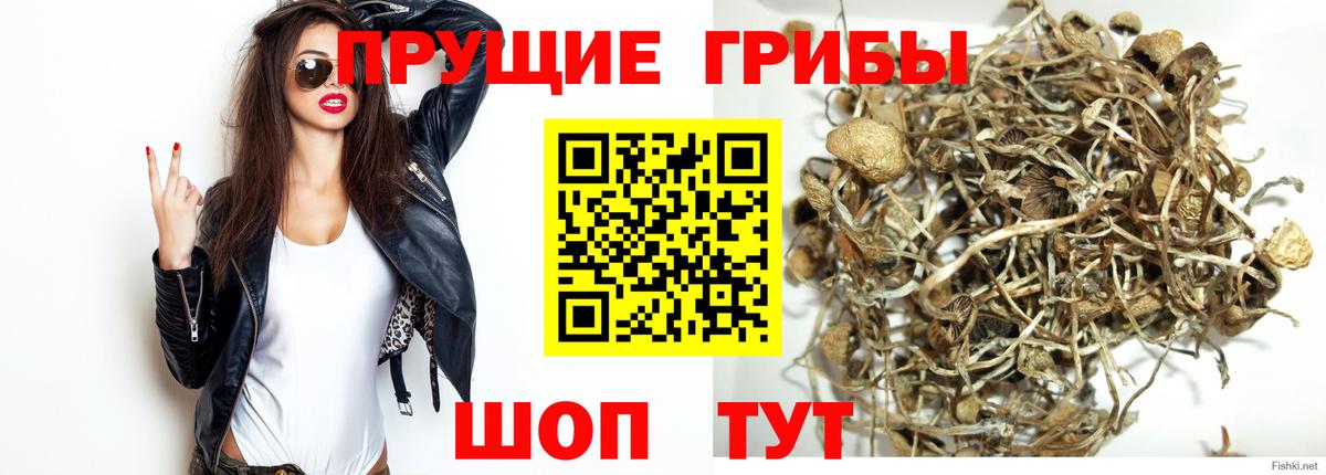 Псилоцибиновые грибы MAGIC MUSHROOMS  Вход с VPN  Галлюциногенные грибы Magic Shrooms  Орск 